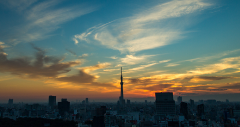 東京カレッジ