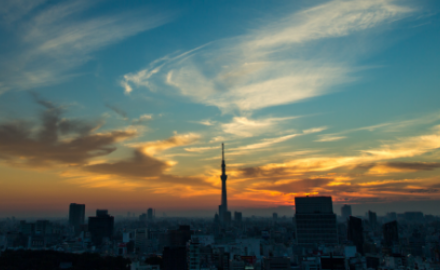 東京カレッジとは