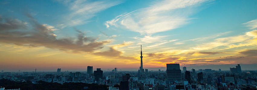 東京カレッジ