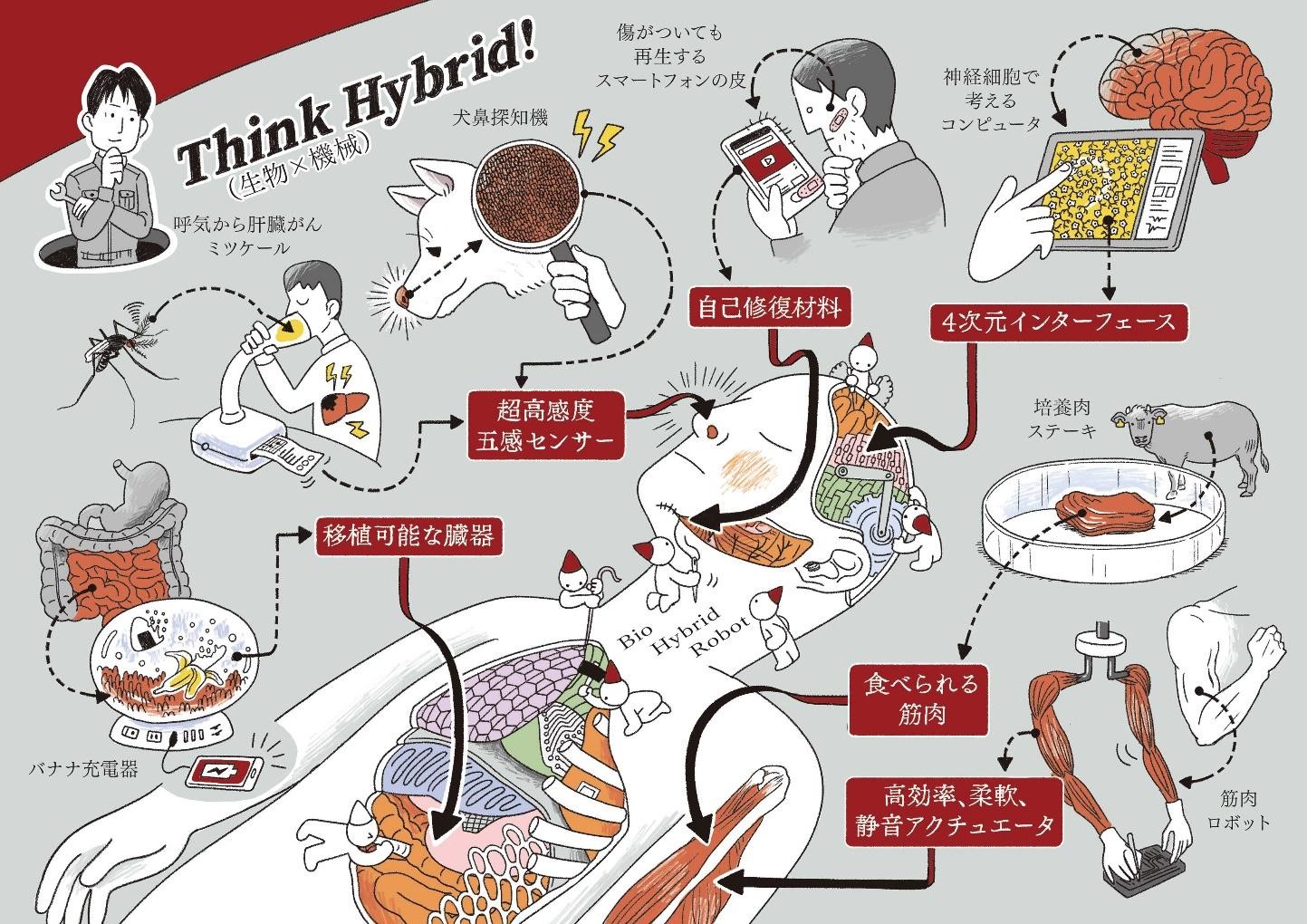 植物組織培養の技術 ｜朝倉書店